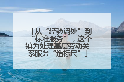 从“经验调处”到“标准服务”，这个镇为处理基层劳动关系服务“造标尺”