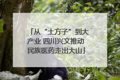 从“土方子”到大产业 四川兴文推动民族医药走出大山