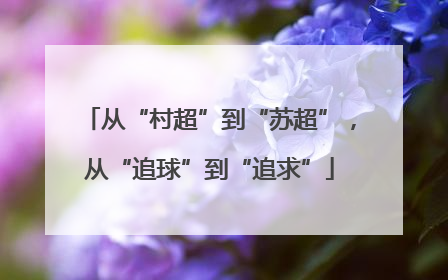 从“村超”到“苏超”，从“追球”到“追求”