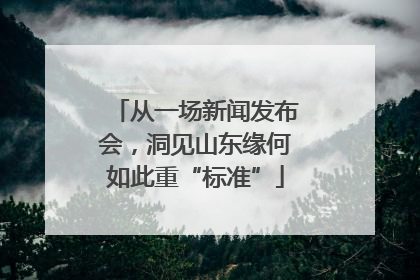 从一场新闻发布会，洞见山东缘何如此重“标准”