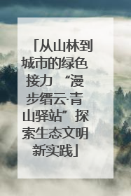 从山林到城市的绿色接力 “漫步缙云·青山驿站”探索生态文明新实践