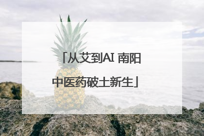 从艾到AI 南阳中医药破土新生