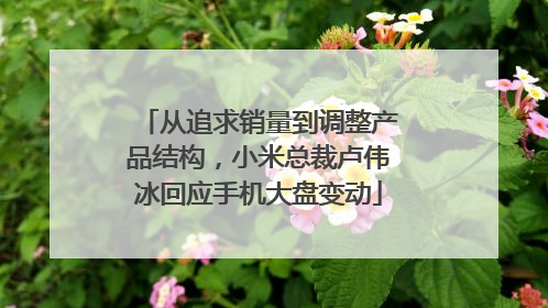 从追求销量到调整产品结构，小米总裁卢伟冰回应手机大盘变动