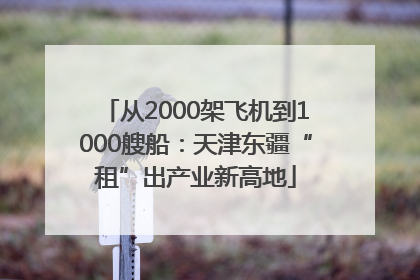 从2000架飞机到1000艘船：天津东疆“租”出产业新高地