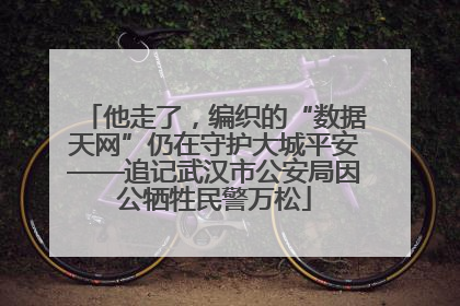 他走了，编织的“数据天网”仍在守护大城平安——追记武汉市公安局因公牺牲民警万松