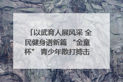 以武育人展风采 全民健身谱新篇 “金童杯” 青少年散打搏击邀请赛圆满落幕