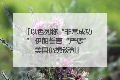 以色列称“非常成功” 伊朗誓言“严惩” 美国仍想谈判