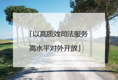 以高质效司法服务高水平对外开放