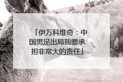 伊万科维奇：中国男足出局我要承担非常大的责任