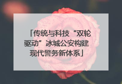 传统与科技“双轮驱动”冰城公安构建现代警务新体系