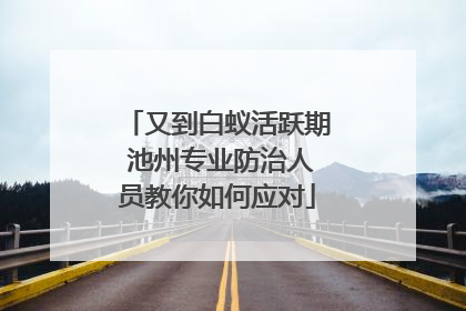 又到白蚁活跃期 池州专业防治人员教你如何应对