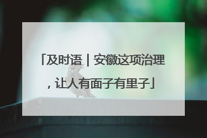 及时语｜安徽这项治理，让人有面子有里子