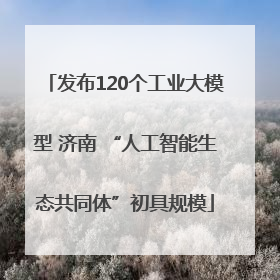 发布120个工业大模型 济南 “人工智能生态共同体”初具规模