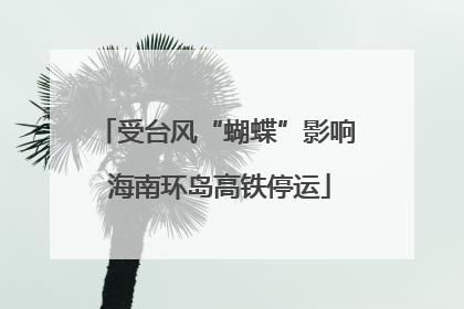 受台风“蝴蝶”影响 海南环岛高铁停运