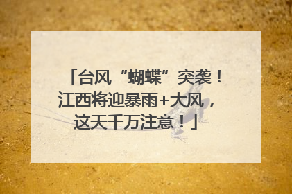 台风“蝴蝶”突袭！江西将迎暴雨+大风，这天千万注意！