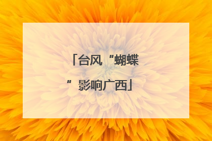 台风“蝴蝶”影响广西