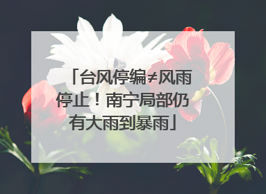 台风停编≠风雨停止！南宁局部仍有大雨到暴雨