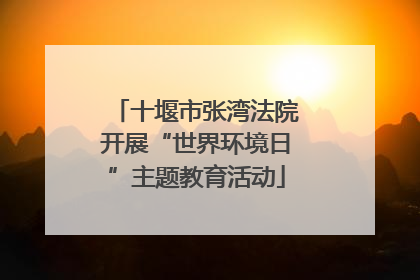 十堰市张湾法院开展“世界环境日”主题教育活动