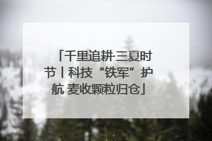 千里追耕·三夏时节丨科技“铁军”护航 麦收颗粒归仓