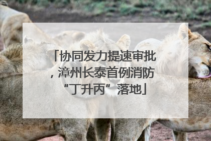 协同发力提速审批，漳州长泰首例消防“丁升丙”落地