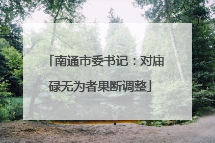 南通市委书记：对庸碌无为者果断调整