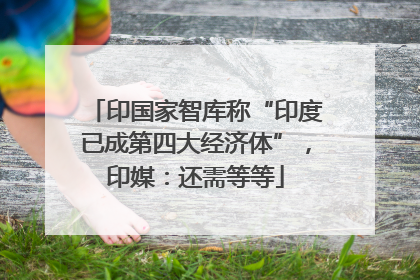 印国家智库称“印度已成第四大经济体”，印媒：还需等等