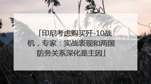 印尼考虑购买歼-10战机，专家：实战表现和两国防务关系深化是主因