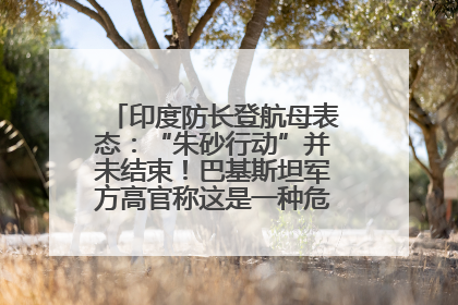 印度防长登航母表态：“朱砂行动”并未结束！巴基斯坦军方高官称这是一种危险的状况……