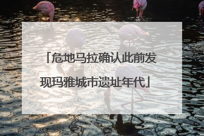 危地马拉确认此前发现玛雅城市遗址年代