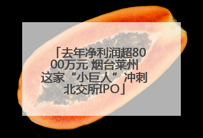 去年净利润超8000万元 烟台莱州这家“小巨人”冲刺北交所IPO