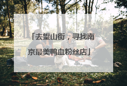 去望山街，寻找南京最美鸭血粉丝店