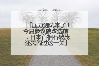 压力测试来了！今夏参议院改选前，日本首相石破茂还需闯过这一关