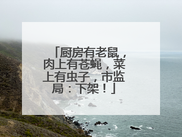 厨房有老鼠，肉上有苍蝇，菜上有虫子，市监局：下架！