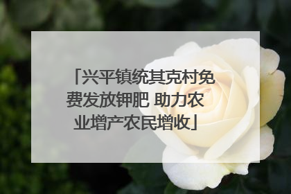 兴平镇统其克村免费发放钾肥 助力农业增产农民增收