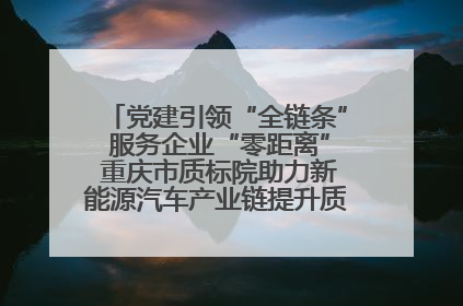 党建引领“全链条” 服务企业“零距离” 重庆市质标院助力新能源汽车产业链提升质量管理水平