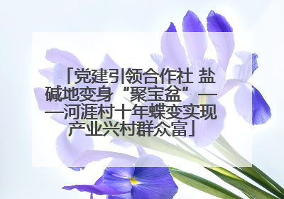 党建引领合作社 盐碱地变身“聚宝盆”——河涯村十年蝶变实现产业兴村群众富