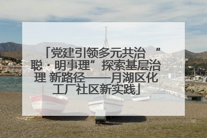 党建引领多元共治 “聪・明事理”探索基层治理 新路径——月湖区化工厂社区新实践