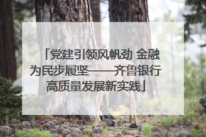 党建引领风帆劲 金融为民步履坚——齐鲁银行高质量发展新实践