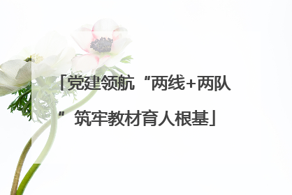 党建领航“两线+两队”筑牢教材育人根基