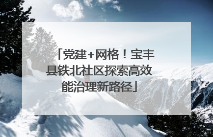 党建+网格！宝丰县铁北社区探索高效能治理新路径