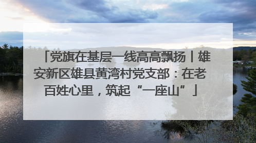 党旗在基层一线高高飘扬丨雄安新区雄县黄湾村党支部：在老百姓心里，筑起“一座山”
