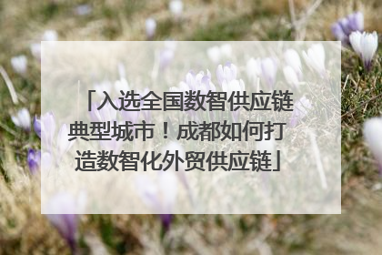 入选全国数智供应链典型城市！成都如何打造数智化外贸供应链