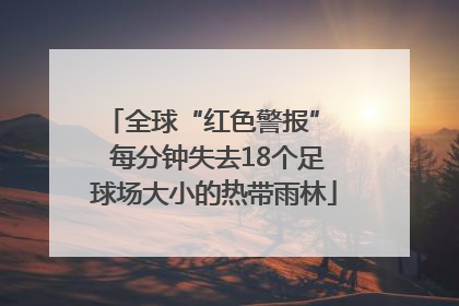 全球“红色警报”  每分钟失去18个足球场大小的热带雨林