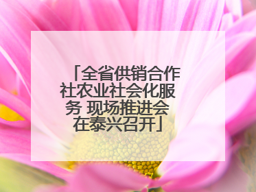 全省供销合作社农业社会化服务 现场推进会在泰兴召开