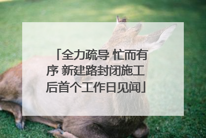 全力疏导 忙而有序 新建路封闭施工后首个工作日见闻