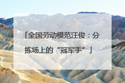 全国劳动模范汪俊：分拣场上的“冠军手”