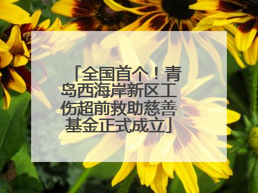 全国首个！青岛西海岸新区工伤超前救助慈善基金正式成立
