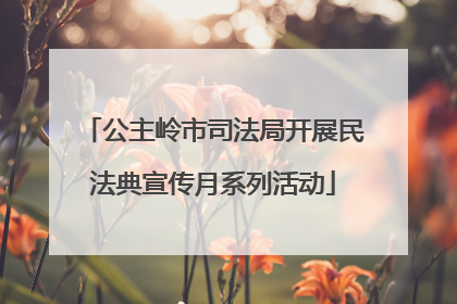 公主岭市司法局开展民法典宣传月系列活动