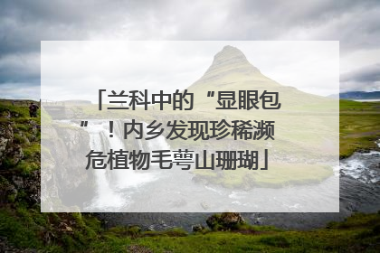 兰科中的“显眼包”！内乡发现珍稀濒危植物毛萼山珊瑚