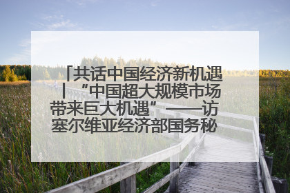 共话中国经济新机遇丨“中国超大规模市场带来巨大机遇”——访塞尔维亚经济部国务秘书尼科利奇